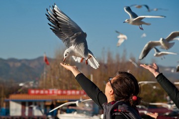 20111231-_FYP2888s.jpg