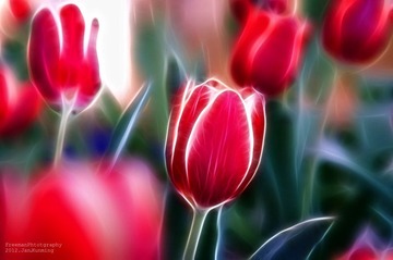 20120127-_FYP42530.JPG