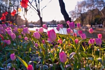 20120127-_FYP43540.JPG