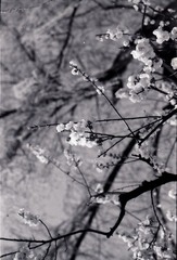 delta0011.jpg