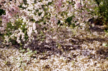 Scan-100503-0001