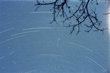 Scan-100503-0029