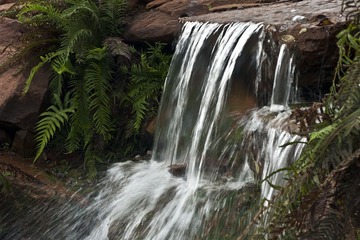 植物园枫叶20111023_35 - 副本 - 副本.jpg