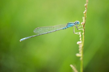 DSC02654a.jpg