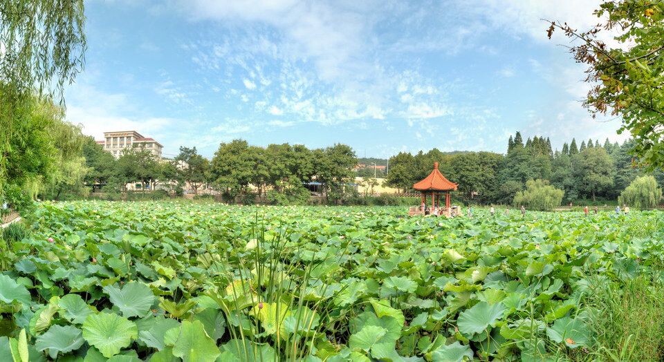 荷塘全景<br />
摄于青岛小西湖荷塘,4次包围曝光(-2,0,+2),共12张照片合成HDR