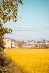 8769FE0B-0302-4DD7-BF73-344A860970C2/L0/001