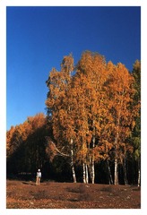Untitled-2副本.jpg
