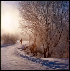 Untitled-3.jpg