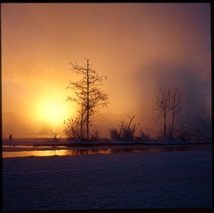 Untitled-4_1.jpg