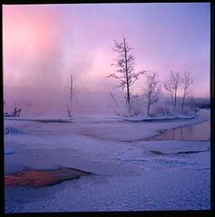 Untitled-5_12.jpg