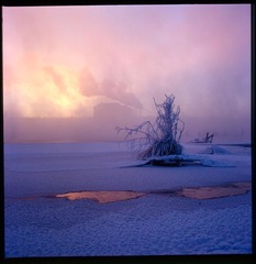 Untitled-8_1.jpg