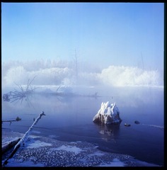 Untitled-12.jpg