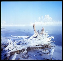 Untitled-13.jpg