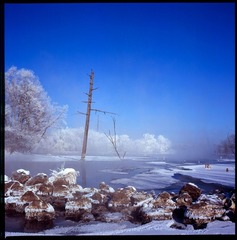 Untitled-15.jpg