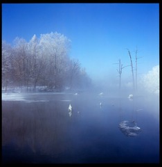 Untitled-17.jpg