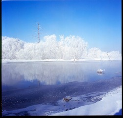 Untitled-22.jpg
