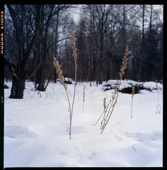 Untitled-32.jpg