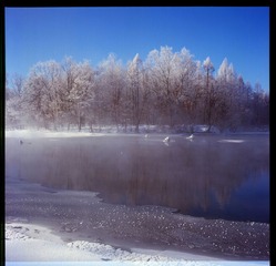 Untitled-21.jpg