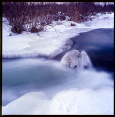 Untitled-24.jpg