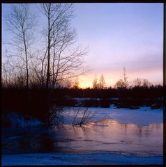 Untitled-27.jpg