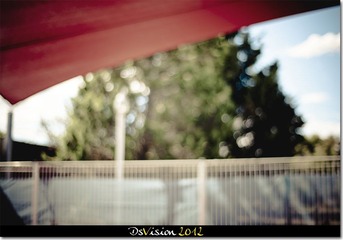 IMG_1556-1.jpg