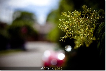 IMG_1613-5.jpg