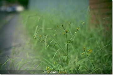 IMG_1615-6.jpg