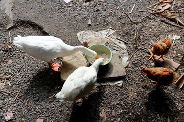 IMG_ 9678.JPG