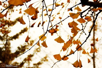 IMG_4494.JPG