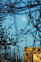 IMG_4539.JPG