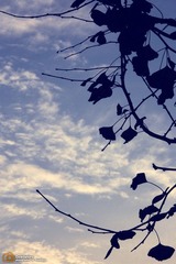 IMG_4558.JPG