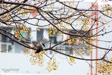 IMG_5703.JPG