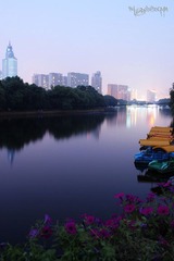 IMG_0229.JPG