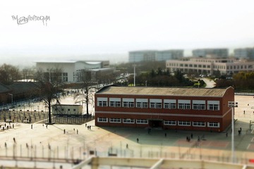 IMG_6291.JPG