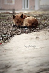 IMG_6543.JPG