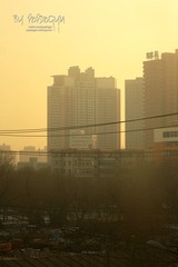 IMG_7393.JPG