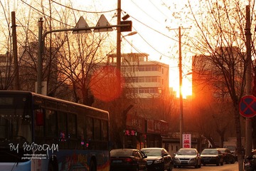 IMG_7398.JPG