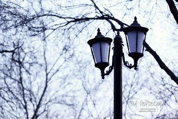 IMG_7400.JPG
