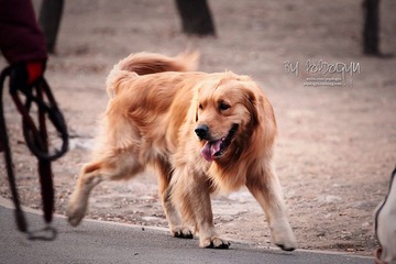 IMG_7415.JPG