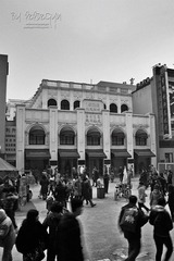 IMG_7819.JPG
