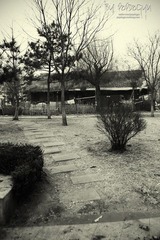 IMG_7843.JPG