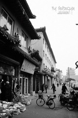 IMG_7854.JPG