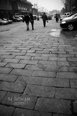 IMG_7859.JPG