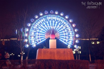 IMG_7911.JPG