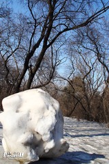 IMG_8227.JPG