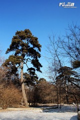 IMG_8231.JPG