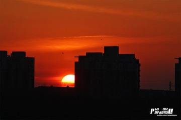 IMG_8442.JPG
