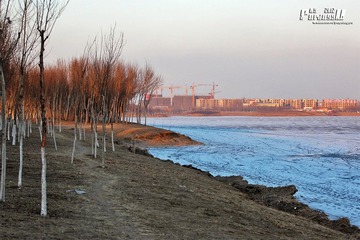 IMG_8415.JPG