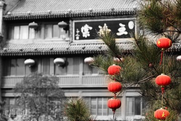 IMG_9673.JPG