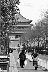 IMG_9679.JPG